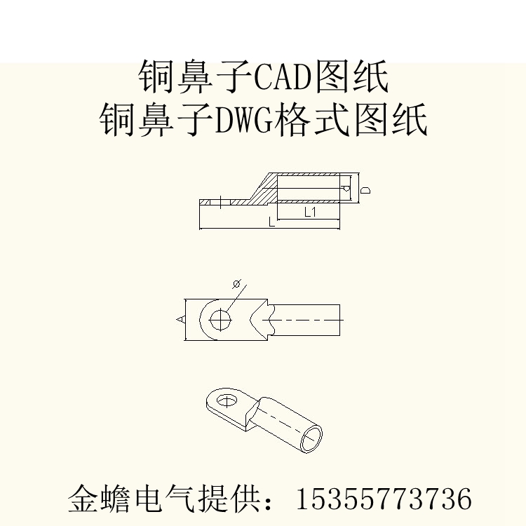 銅鼻子CAD圖紙 銅鼻子DWG格式圖紙